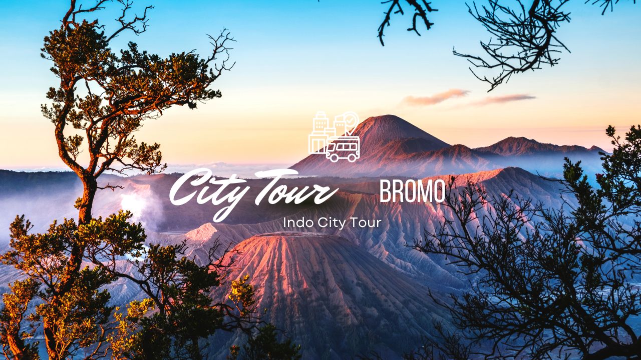 City Tour Bromo